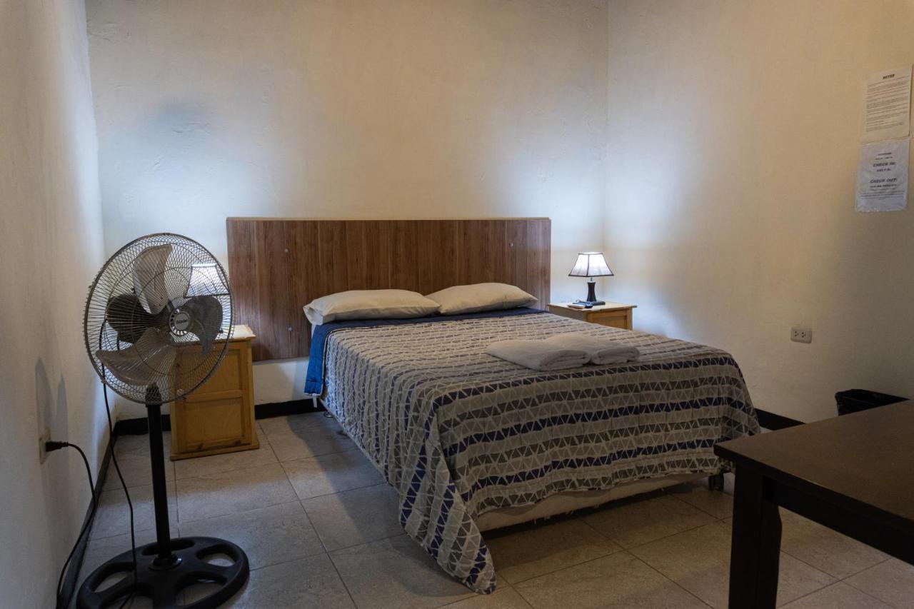 Wild Olive Guest House 伊察 外观 照片