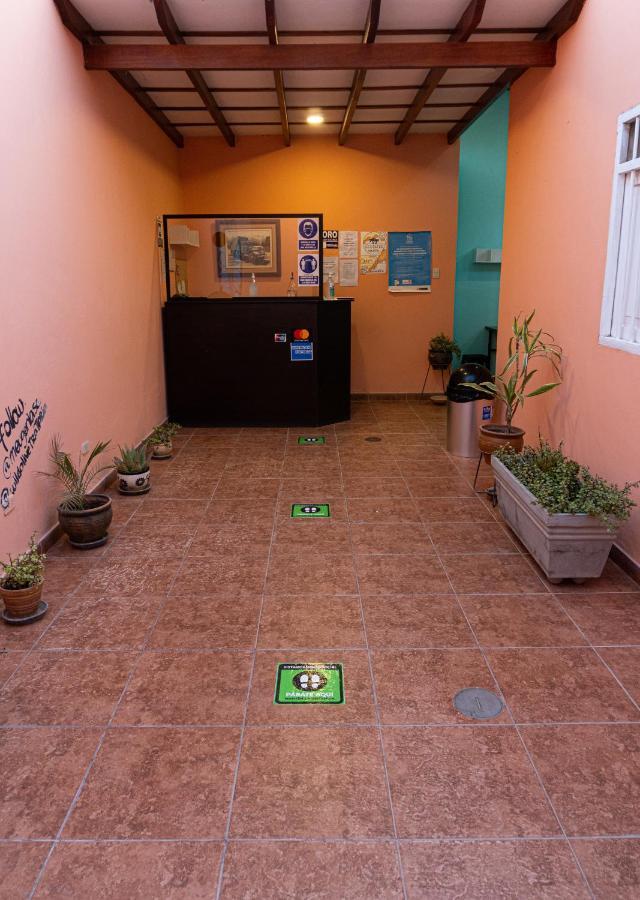 Wild Olive Guest House 伊察 外观 照片