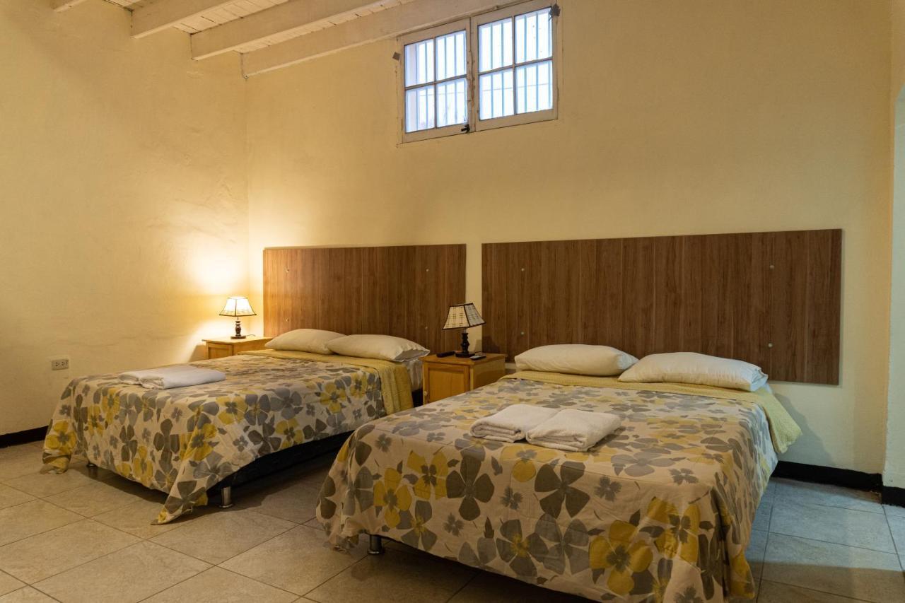 Wild Olive Guest House 伊察 外观 照片