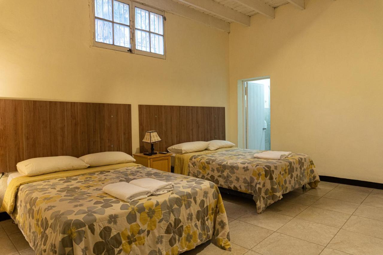 Wild Olive Guest House 伊察 外观 照片