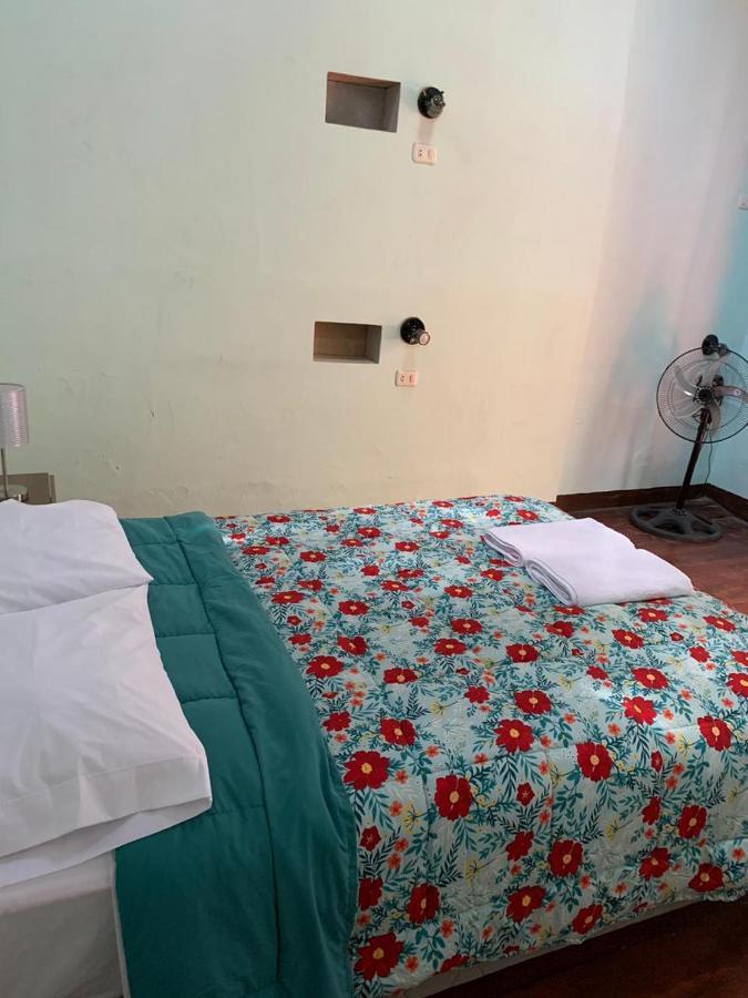 Wild Olive Guest House 伊察 外观 照片
