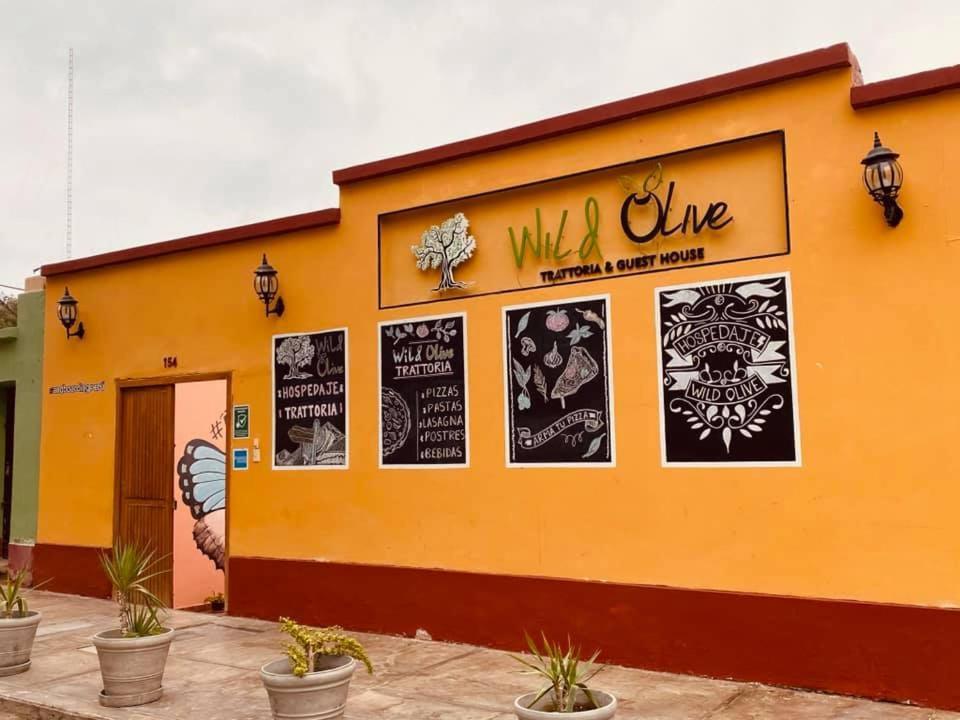 Wild Olive Guest House 伊察 外观 照片