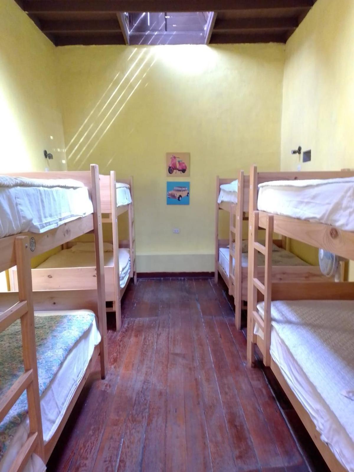 Wild Olive Guest House 伊察 外观 照片
