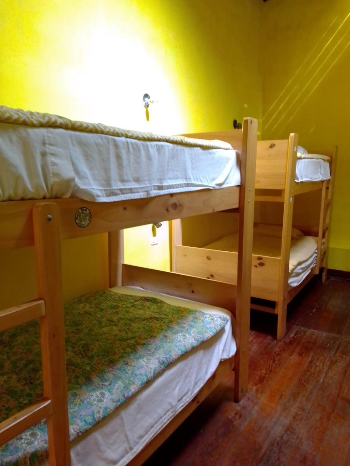 Wild Olive Guest House 伊察 外观 照片